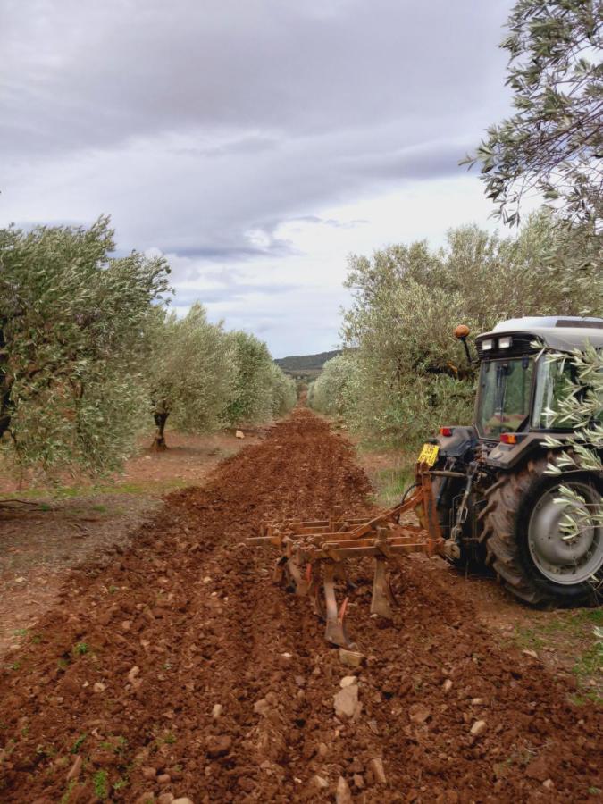 Le Bosc  Escale Au Salagou מראה חיצוני תמונה
